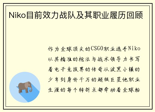Niko目前效力战队及其职业履历回顾